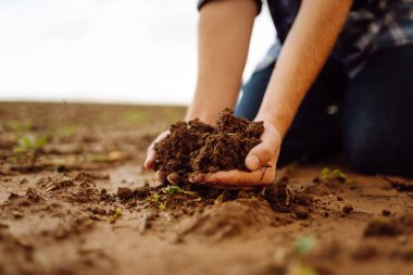 Close-up of a farmer's strong hands on a black field. The male hands of an agronomist sort through and check the quality of the soil. Concept of gardening, ecology.