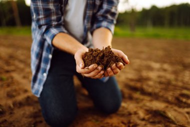 Close-up of a farmer's strong hands on a black field. The male hands of an agronomist sort through and check the quality of the soil. Concept of gardening, ecology.