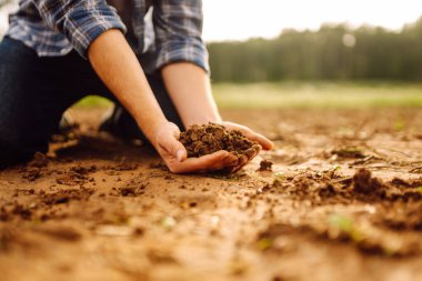 Close-up of a farmer's strong hands on a black field. The male hands of an agronomist sort through and check the quality of the soil. Concept of gardening, ecology.