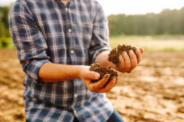 Close-up of a farmer's strong hands on a black field. The male hands of an agronomist sort through and check the quality of the soil. Concept of gardening, ecology.