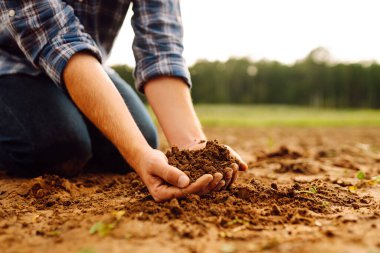 Close-up of a farmer's strong hands on a black field. The male hands of an agronomist sort through and check the quality of the soil. Concept of gardening, ecology.