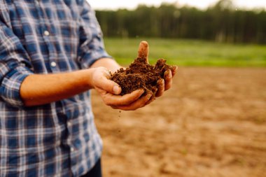 Close-up of a farmer's strong hands on a black field. The male hands of an agronomist sort through and check the quality of the soil. Concept of gardening, ecology.