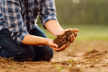 Close-up of a farmer's strong hands on a black field. The male hands of an agronomist sort through and check the quality of the soil. Concept of gardening, ecology.