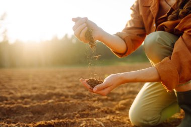 Women's hands sort through black soil in the field. A woman farmer checks the quality of the soil. Ecology, agriculture concept.