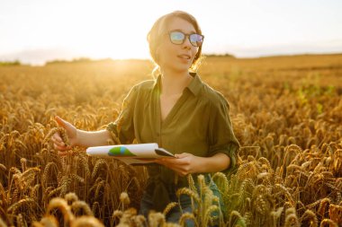 Happy woman farmer with a clipboard in a wheat field in the countryside, checking the growth of the crop. A young agronomist checks the quality of wheat in the field. Agriculture concept.