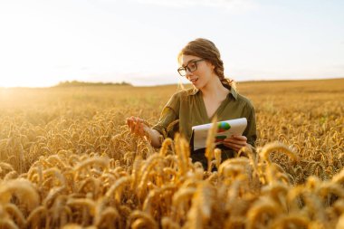 Happy woman farmer with a clipboard in a wheat field in the countryside, checking the growth of the crop. A young agronomist checks the quality of wheat in the field. Agriculture concept.