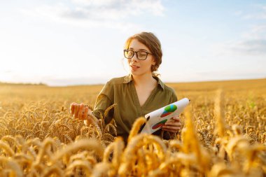 Happy woman farmer with a clipboard in a wheat field in the countryside, checking the growth of the crop. A young agronomist checks the quality of wheat in the field. Agriculture concept.
