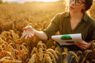 Happy woman farmer with a clipboard in a wheat field in the countryside, checking the growth of the crop. A young agronomist checks the quality of wheat in the field. Agriculture concept.