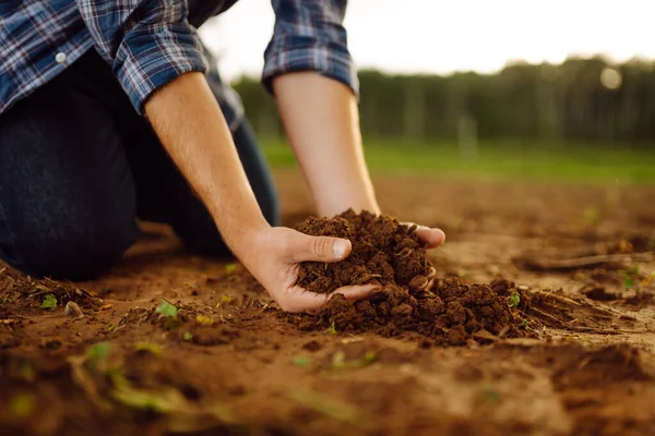 Close-up of a farmer\'s strong hands on a black field. The male hands of an agronomist sort through and check the quality of the soil. Concept of gardening, ecology.