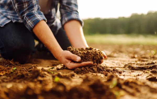 Close-up of a farmer\'s strong hands on a black field. The male hands of an agronomist sort through and check the quality of the soil. Concept of gardening, ecology.