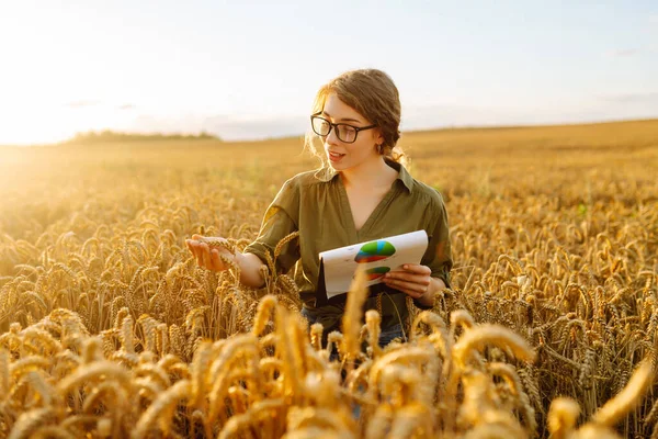 Happy woman farmer with a clipboard in a wheat field in the countryside, checking the growth of the crop. A young agronomist checks the quality of wheat in the field. Agriculture concept.