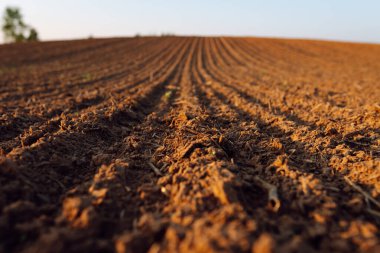 Bitki ve sebze ekmeden önce organik olarak yetiştirilmiş kara toprağa yakın çekim. Kahverengi toprak dokusu.