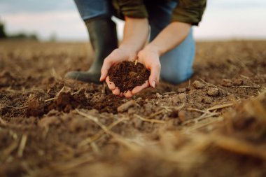 Tarımsal bir tarlada siyah toprakla bir kadın çiftçinin ellerine yakın çekim. Tarımcı bir kadın toprağı elinde tutar, ekmeden önce kalitesini kontrol eder. Ekoloji, bahçıvanlık kavramı.
