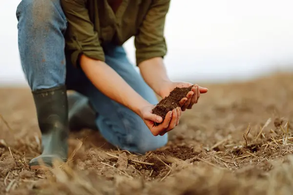 Close-up of a woman farmer\'s hands with black soil in an agricultural field. A woman agronomist holds the soil, checks its quality before sowing. Ecology, gardening concept.