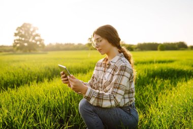 Elinde tablet olan bir çiftçi. Çiftçilik teknolojileri. Yeşil buğday tarlası. Akıllı çiftlik