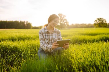 Elinde tablet olan bir çiftçi. Çiftçilik teknolojileri. Yeşil buğday tarlası. Akıllı çiftlik