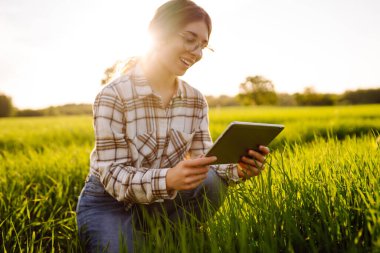Elinde tablet olan bir çiftçi. Çiftçilik teknolojileri. Yeşil buğday tarlası. Akıllı çiftlik