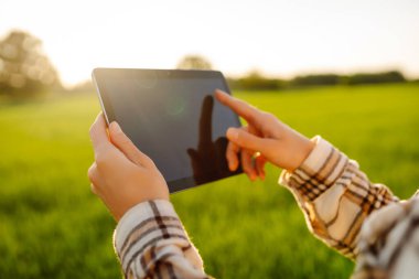 Elinde tabletle çiftçiyi yakından çek. Çiftçilik teknolojileri. Yeşil buğday tarlası. Akıllı çiftlik