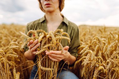 Genç çiftçi kadın tarlada yürüyor ve elini buğday hasadının altın kulaklarında gezdiriyor. Agronomist buğday kulakları tutar, buğday tanelerinin kalitesini kontrol eder. Tarım gıda endüstrisi.