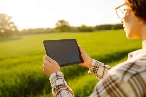 Foto Close Seorang Petani Dengan Tablet Tangannya Teknologi Bidang Pertanian — Stok Foto
