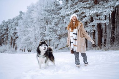 Sıcak giysiler içinde genç bir kadın köpeğini güzel bir karlı ormanda gezdiriyor. Parkta evcil hayvanla oynayan bir kadın. Evcil köpek konsepti.