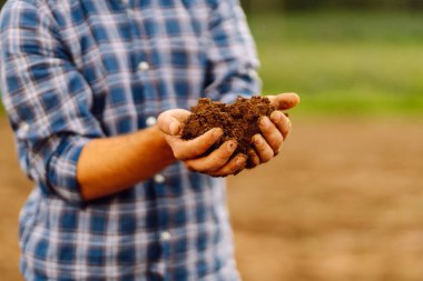 Erkek eller sahada toprağa dokunuyor. Bitki veya bitki tohumu yetiştirmeden önce toprak sağlığını kontrol eden bir çiftçi eli. Tarım, iş ve ekoloji kavramı.