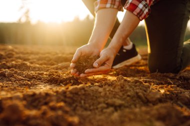 Erkek eller sahada toprağa dokunuyor. Bitki veya bitki tohumu yetiştirmeden önce toprak sağlığını kontrol eden bir çiftçi eli. Tarım, iş ve ekoloji kavramı.