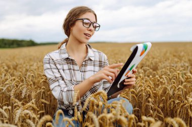 Çiftçi kadın bazı çizelgeleri izliyor ve buğday tarlasının gelişimini kontrol ediyor. Tarım, bahçıvanlık veya ekoloji kavramı.