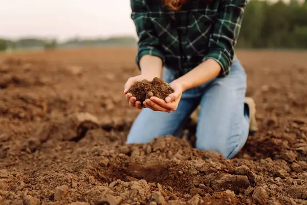 stock image Farmer hands touching soil on the field. Expert hand of farmer checking soil health before growth a seed of vegetable or plant seedling. Concept of agriculture, business and ecology.