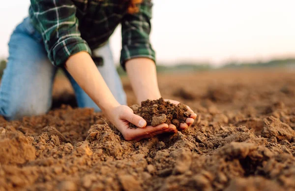 Farmer hands touching soil on the field. Expert hand of farmer checking soil health before growth a seed of vegetable or plant seedling. Concept of agriculture, business and ecology.
