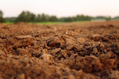 Tarım için temiz toprak. Saksı toprağı ya da turba bahçıvanlık için uygundur. Bereketli arazi dokusu, kırsal arazi manzarası.