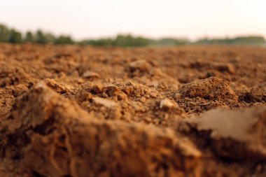 Tarım için temiz toprak. Saksı toprağı ya da turba bahçıvanlık için uygundur. Bereketli arazi dokusu, kırsal arazi manzarası.