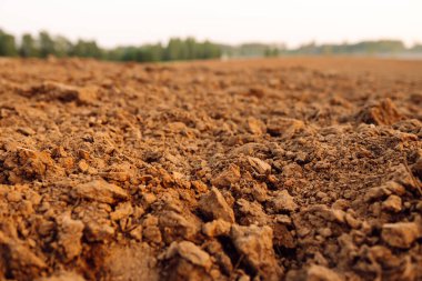 Tarım için temiz toprak. Saksı toprağı ya da turba bahçıvanlık için uygundur. Bereketli arazi dokusu, kırsal arazi manzarası.