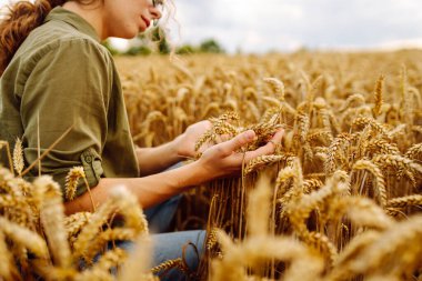 Buğday tarlasında çiftçi kadın mahsulü kontrol ediyor. Hasat, organik tarım konsepti