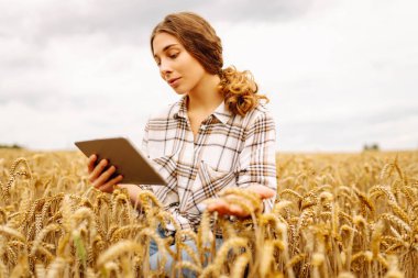Bir kadın çiftçi mısır gevreği tarlasını inceliyor ve tabletten bulut için veri gönderiyor. Akıllı tarım ve dijital tarım.