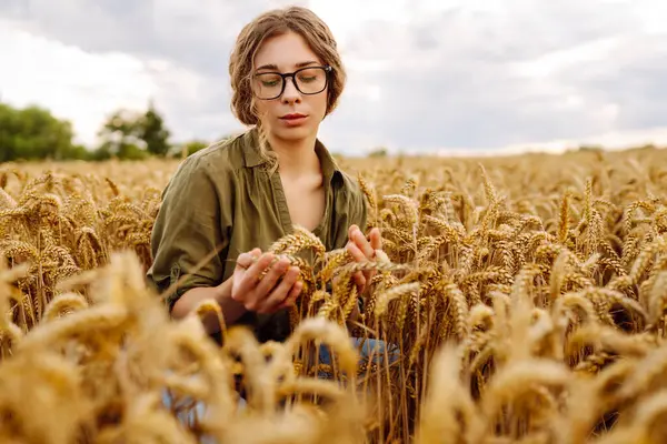 Farmer woman in a wheat field checking crop. Harvesting, organic farming concept