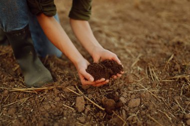 Çiftçi toprağı yakından tutuyor. Çiftçi buğday ekmeden önce toprak kalitesini kontrol ediyor. Tarım, bahçıvanlık veya ekoloji kavramı