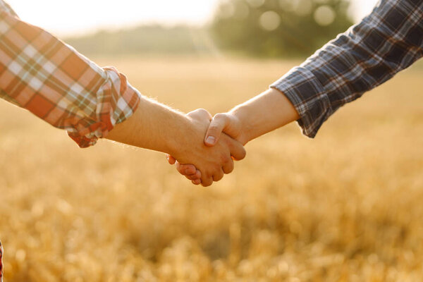 Two farmers shake hands after a fraction in a golden wheat field. Farm agreement. Negotiation. Agriculture concept.