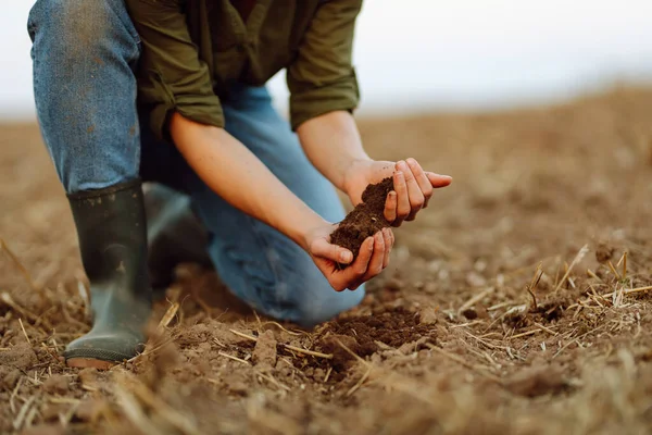 Farmer holding soil in hands close-up.Farmer is checking soil quality before sowing wheat. Agriculture, gardening or ecology concept