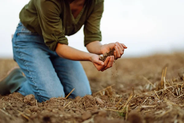 Farmer holding soil in hands close-up.Farmer is checking soil quality before sowing wheat. Agriculture, gardening or ecology concept