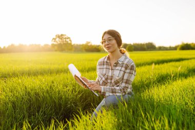 Genç çiftçi kadın, yeşil buğday tarlasındaki bir tabletten hasat sürecini kontrol ediyor. Yeni buğday ekinleri büyüyor. Tarım ve tarım kavramı.
