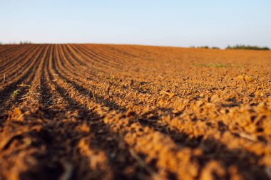 Ekmeden önce tarlayı sürdüm. Bereketli arazi dokusu, kırsal arazi manzarası.