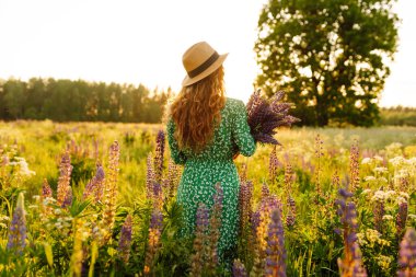 Güzel bir kadın çiçek kokulu lavanta tarlalarında duruyor. Doğa, tatil, rahatlama ve yaşam tarzı. Şifalı bitkilerin toplanması