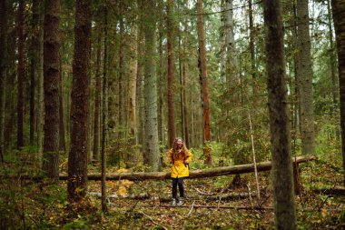 Güz mevsiminde ormanda sırt çantası taşıyan güzel bir kadın. Gezgin doğanın tadını çıkarıyor. Yürüyüş kavramı, aktif yaşam tarzı. Maceralar.
