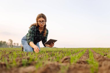 Çiftçi kadın yeni mahsulün kalitesini kontrol ediyor. Agronomist analizler yeni tohum büyümesinin ilerlemesini gösteriyor. Bahçe ve ekoloji kavramı.