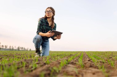 Çiftçi kadın yeni mahsulün kalitesini kontrol ediyor. Agronomist analizler yeni tohum büyümesinin ilerlemesini gösteriyor. Bahçe ve ekoloji kavramı.