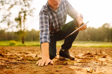 Erkek eller sahada toprağa dokunuyor. Çiftçi buğday ekmeden önce toprak kalitesini kontrol ediyor. Tarım, bahçıvanlık veya ekoloji kavramı