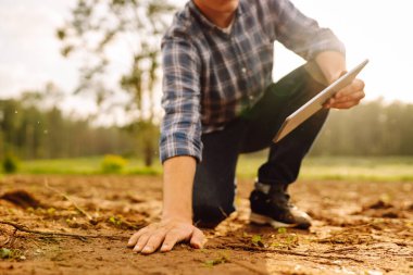 Erkek eller sahada toprağa dokunuyor. Çiftçi buğday ekmeden önce toprak kalitesini kontrol ediyor. Tarım, bahçıvanlık veya ekoloji kavramı