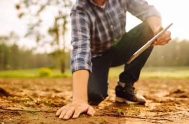 Erkek eller sahada toprağa dokunuyor. Çiftçi buğday ekmeden önce toprak kalitesini kontrol ediyor. Tarım, bahçıvanlık veya ekoloji kavramı