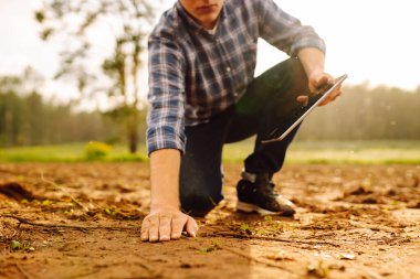Erkek eller sahada toprağa dokunuyor. Çiftçi buğday ekmeden önce toprak kalitesini kontrol ediyor. Tarım, bahçıvanlık veya ekoloji kavramı